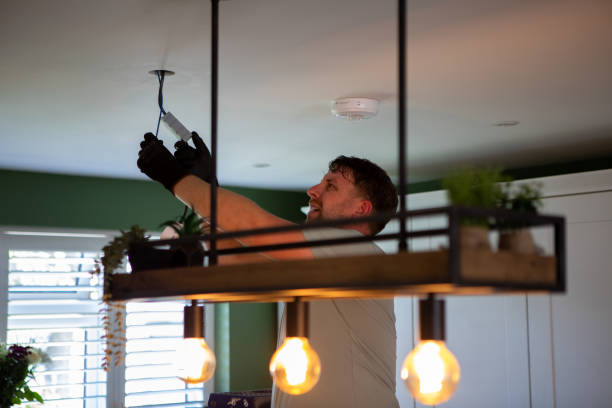 Best Local Electrician Companies  in Arlington, MN