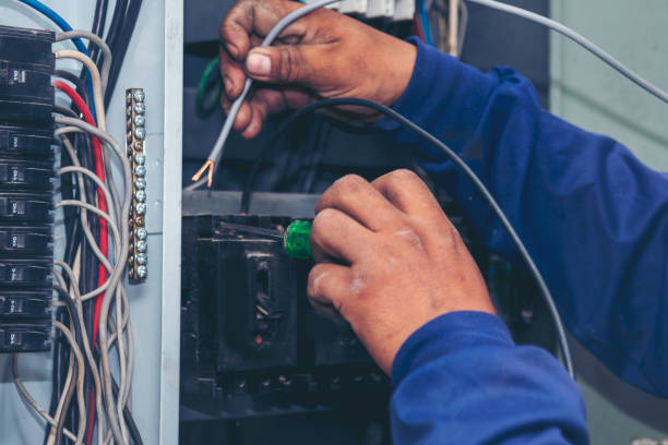 Best Affordable Electrician  in Arlington, MN
