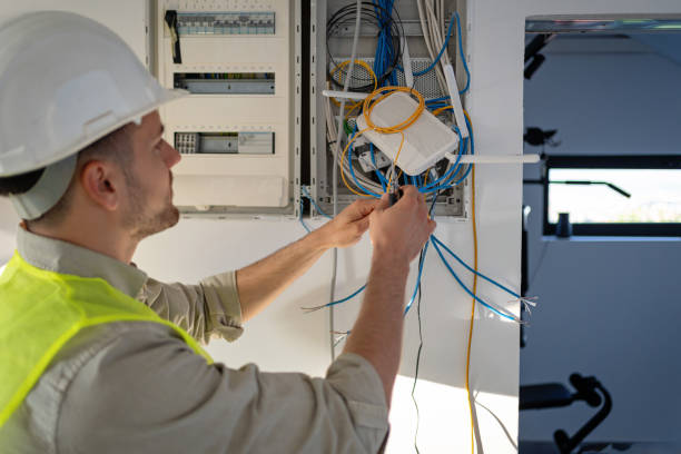 Best Electric Panel Repair  in Arlington, MN